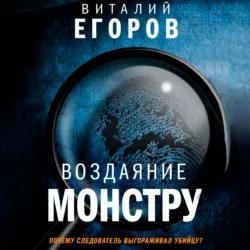Воздаяние монстру - Виталий Егоров Воздаяние монстру - Виталий Егоров
