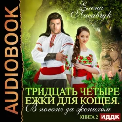 Тридцать четыре Ёжки для Кощея. В погоне за женихом. Книга третья, аудиокнига Елены Лисавчук. ISDN67235935