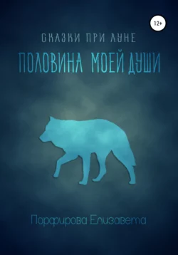 Сказки при луне. Часть первая, аудиокнига Елизаветы Порфировой. ISDN69179950