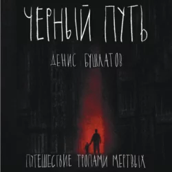 Черный путь - Денис Бушлатов