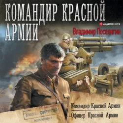 Командир Красной Армии - Владимир Поселягин
