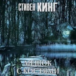 Мешок с костями - Стивен Кинг Мешок с костями - Стивен Кинг