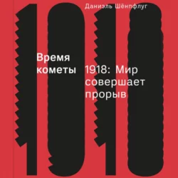 Время кометы. 1918: Мир совершает прорыв - Даниэль Шёнпфлуг
