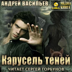 Карусель теней - Андрей Васильев