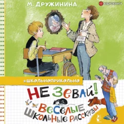 Смешные рассказы для детей, аудиокнига Марины Дружининой. ISDN69415546
