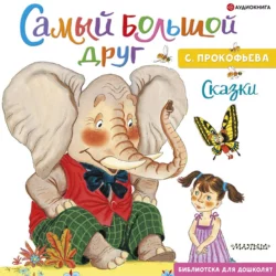 Дорога памяти, аудиокнига Софьи Прокофьевой. ISDN8922810