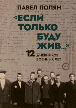 «Если только буду жив…» 12 дневников военных лет - Сборник