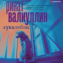 Не дура, аудиокнига . ISDN64347331