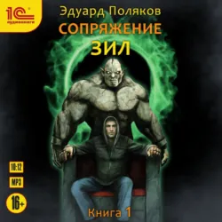 Сопряжение. Чернильный маг. Книга 3, аудиокнига . ISDN70600519