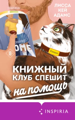 Bromance. Тайный клуб романтиков, аудиокнига Лиссы Кей Адамс. ISDN65904849