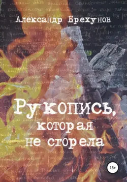Рукопись, которая не сгорела, аудиокнига . ISDN71410255