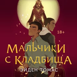 Пропавшие в лесах Нетландии, аудиокнига . ISDN68254006