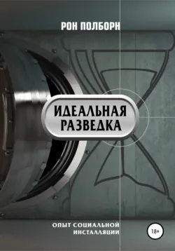Идеальная разведка - Рон Полборн