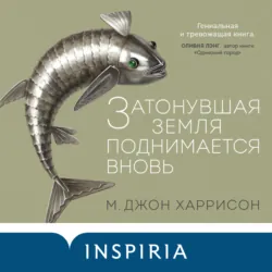 Затонувшая земля поднимается вновь - Майкл Гаррисон