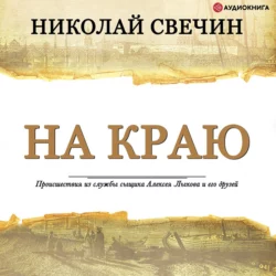 На краю - Николай Свечин На краю - Николай Свечин