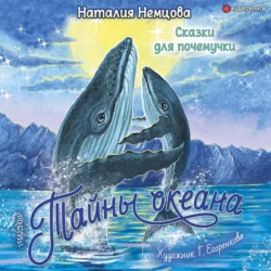 Стражи леса. Сказки для почемучки, аудиокнига Наталии Немцовой. ISDN67880078