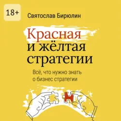 Красная и желтая стратегии. Все, что нужно знать о бизнес-стратегии - Святослав Бирюлин