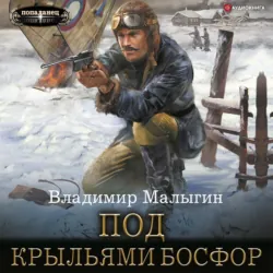 Под крыльями Босфор - Владимир Малыгин