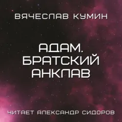 Северный набег, аудиокнига . ISDN70770145