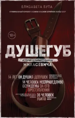 Автомат Калашникова. Символ России, аудиокнига . ISDN7323296