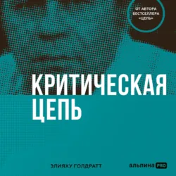 Критическая цепь - Элияху Голдратт