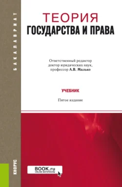 Теория и практика правоприменения: краткий курс для магистрантов. (Магистратура, Специалитет). Учебное пособие., аудиокнига . ISDN73885518