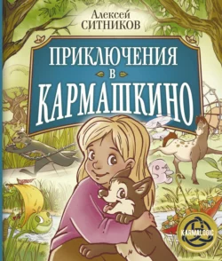 Основы электротехники, аудиокнига Алексея Викторовича Ситникова. ISDN72202885