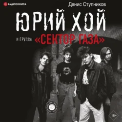 Юрий Хой и группа «Сектор Газа» - Денис Ступников Юрий Хой и группа «Сектор Газа» - Денис Ступников