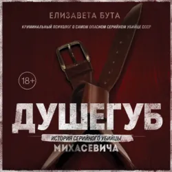 Автомат Калашникова. Символ России, аудиокнига . ISDN7323296