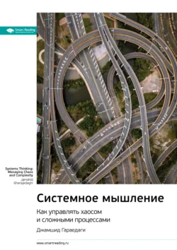 Ключевые идеи книги: Системное мышление. Как управлять хаосом и сложными процессами. Джамшид Гараедаги - Smart Reading