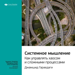 Ключевые идеи книги: Системное мышление. Как управлять хаосом и сложными процессами. Джамшид Гараедаги - Smart Reading