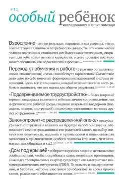 Особый ребенок. Исследования и опыт помощи. Выпуск 12 - Сборник статей