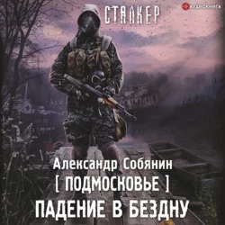 Подмосковье. Падение в бездну, Александр Собянин