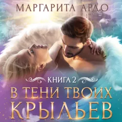 VIP Грабли, аудиокнига . ISDN65493326