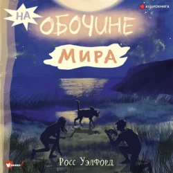 На обочине мира, Росс Уэлфорд