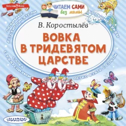 Вовка в Тридевятом царстве и другие сказки и стихи, аудиокнига Вадима Коростылева. ISDN68373395
