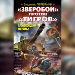 «Зверобои» против «Тигров». Самоходки, огонь! - Владимир Першанин «Зверобои» против «Тигров». Самоходки, огонь! - Владимир Першанин