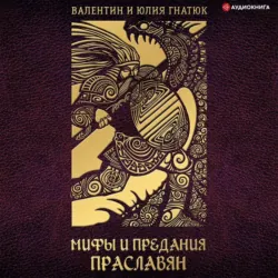 Игорь. Корень Рода, аудиокнига . ISDN67360415