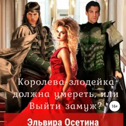Два бандита для Плюшкиной, аудиокнига Эльвиры Осетиной. ISDN70676509