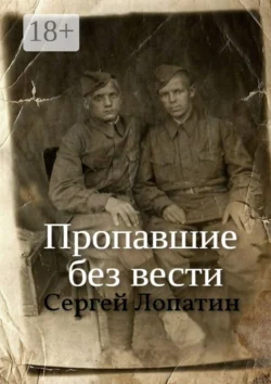 217 дивизия. В боях за Родину, аудиокнига Сергея Лопатина. ISDN68362427