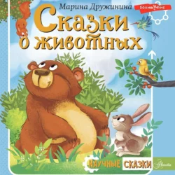 Смешные рассказы для детей, аудиокнига Марины Дружининой. ISDN69415546