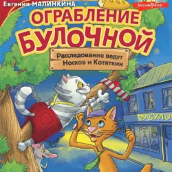 Волшебное ограбление. Следствие ведут Носков и Котяткин, аудиокнига Евгении Малинкиной. ISDN68486500