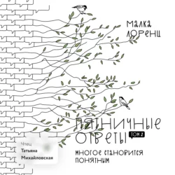 Пятничные ответы. Многое становится понятным. Том 4, аудиокнига Малки Лоренц. ISDN70006780