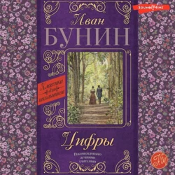 Цифры - Иван Бунин
