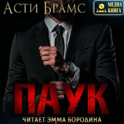 Цепи. Останься со мной, аудиокнига . ISDN71440420