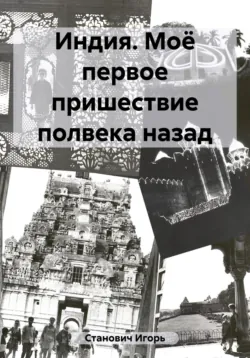 Прощание с Гоа. Реанимация, аудиокнига Игоря Становича. ISDN67618328