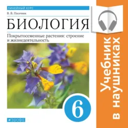 Биология. Линейный курс. 6 класс. Покрытосеменные растения: строение и жизнедеятельность (Аудиоучебник) - Владимир Пасечник