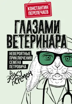 От лягушки до Кремля. Новые приключения Семена Петровича, аудиокнига . ISDN70562503