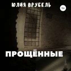 Граф Соколов – гений сыска, аудиокнига Валентина Лаврова. ISDN42365712