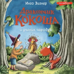 Дракончик Кокоша и ученик чародея Инго Зигнер